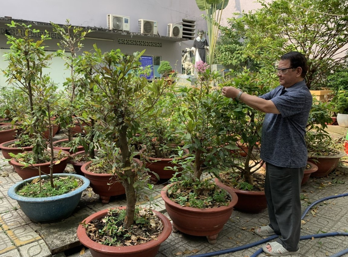 Sắc Xuân ở xứ đạo Tân Dân